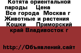 Котята ориентальной пароды  › Цена ­ 12 000 - Все города, Москва г. Животные и растения » Кошки   . Приморский край,Владивосток г.